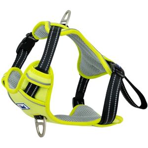 Ancol Viva Exercise and Travel Dog Harness in Lime Comfortable Pet Accessory with Padded Chest and 2 Leash Clips Large 60-85cm Ancol Viva Exercise and Travel Dog Harness in Lime Comfortable Pet Accessory with Padded Chest and 2 Leash Clips Large 60-85cm