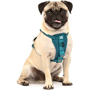 Kurgo , Enhanced Strength Tru-Fit Smart Harness for Dogs, Ink Blue, Extra Small Kurgo , Enhanced Strength Tru-Fit Smart Harness for Dogs, Ink Blue, Extra Small