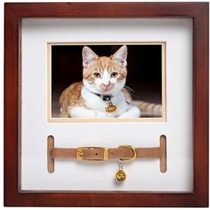 Pearhead Pet Collier Pour Chien Ou Chat Parfait Pour Les Amoureux Des Animaux De Compagnie Expresso - Pet Collar Pearhead Pet Collier Pour Chien Ou Chat Parfait Pour Les Amoureux Des Animaux De Compagnie Expresso - Pet Collar