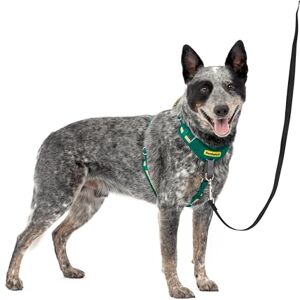 PetSafe Easy Walk Comfort No-Pull Dog Harness Full-Body Padding Better Walks on The First Use 5 Points of Adjustment Medium/Large, Green PetSafe Easy Walk Comfort No-Pull Dog Harness Full-Body Padding Better Walks on The First Use 5 Points of Adjustment Medium/Large, Green