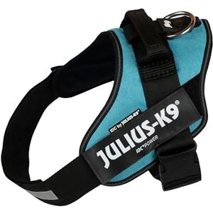 Julius-K9 IDC Powerharness, Size: 1/L, Turquoise Julius-K9 IDC Powerharness, Size: 1/L, Turquoise