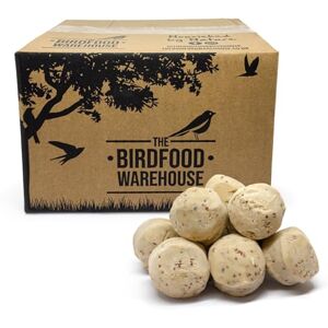 The Birdfood Warehouse Premium Insect Fat Balls for Wild Birds 50pk Natural Suet for Wild Garden Birds, High Energy Bird Food, Year Round Feeding, No Artificial Ingredients, Made in the UK The Birdfood Warehouse Premium Insect Fat Balls for Wild Birds 50pk Natural Suet for Wild Garden Birds, High Energy Bird Food, Year Round Feeding, No Artificial Ingredients, Made in the UK