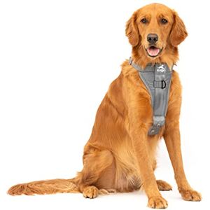Kurgo , Enhanced Strength Tru-Fit Smart Harness for Dogs, Charcoal, Large Kurgo , Enhanced Strength Tru-Fit Smart Harness for Dogs, Charcoal, Large