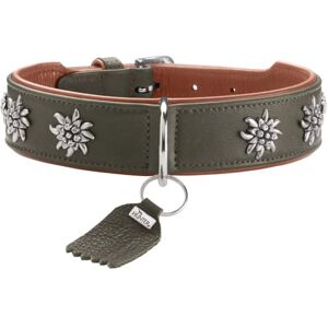 HUNTER Munich Dog Collar Colour: Green/Cognac, Leather, Elegant Costume Details, Soft and Robust, Fur Friendly, Luxurious, Ecologically Produced, Sustainable, Made in Germany, Size: 60 HUNTER Munich Dog Collar Colour: Green/Cognac, Leather, Elegant Costume Details, Soft and Robust, Fur Friendly, Luxurious, Ecologically Produced, Sustainable, Made in Germany, Size: 60