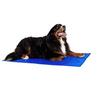 Lionto Dog & Cat Cooling Mat - 120x80 cm, Blue Lionto Dog & Cat Cooling Mat - 120x80 cm, Blue