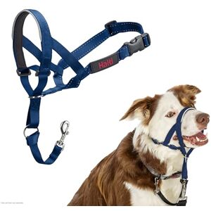 Halti Headcollar To Stop Your Dog Pulling on the Lead. Adjustable, Reflective and Lightweight, with Padded Nose Band. Dog Training Anti-Pull Collar for Medium Dogs (Size 2, Cobalt Blue) Halti Headcollar To Stop Your Dog Pulling on the Lead. Adjustable, Reflective and Lightweight, with Padded Nose Band. Dog Training Anti-Pull Collar for Medium Dogs (Size 2, Cobalt Blue)