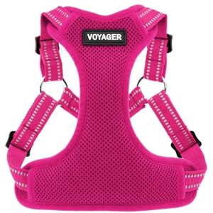 Best Pet Supplies Voyager Adjustable Dog Harness with Reflective Stripes by , Heavy-Duty Full Body No Pull Vest with Leash D-Ring, Breathable, Fuchsia, size M Best Pet Supplies Voyager Adjustable Dog Harness with Reflective Stripes by , Heavy-Duty Full Body No Pull Vest with Leash D-Ring, Breathable, Fuchsia, size M