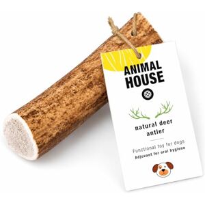 Animal House Whole Deer Antlers for Dogs (85-145g) 100% Natural Chew Supports Oral Hygiene Strong and Long-Lasting Available in Cruelty-Free (M) Animal House Whole Deer Antlers for Dogs (85-145g) 100% Natural Chew Supports Oral Hygiene Strong and Long-Lasting Available in Cruelty-Free (M)