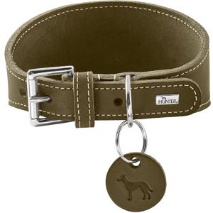 HUNTER Aalborg Greyhound Collar Olive Robust Soft Leather, Ideal for Greyhounds, Pressure-Distributing Design, Gentle on the Larynx, Made in Germany, Size 32 HUNTER Aalborg Greyhound Collar Olive Robust Soft Leather, Ideal for Greyhounds, Pressure-Distributing Design, Gentle on the Larynx, Made in Germany, Size 32