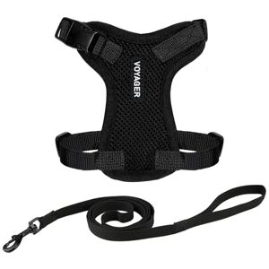 Best Pet Supplies Voyager Cat Harness and Leash - XXS, Black, Reflective, 5ft Best Pet Supplies Voyager Cat Harness and Leash - XXS, Black, Reflective, 5ft