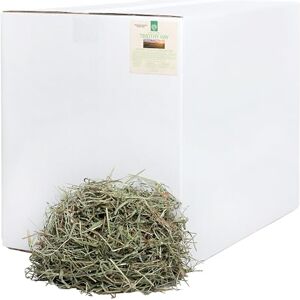 SMALL PET SELECT 2nd Cutting Timothy Hay for Rabbit, Guinea Pig, Bunny, Chinchilla and Other Small Animals, Premium Natural Hay Grown in The US, Perfect Blend Pet Food, 40 LB (18kg) SMALL PET SELECT 2nd Cutting Timothy Hay for Rabbit, Guinea Pig, Bunny, Chinchilla and Other Small Animals, Premium Natural Hay Grown in The US, Perfect Blend Pet Food, 40 LB (18kg)