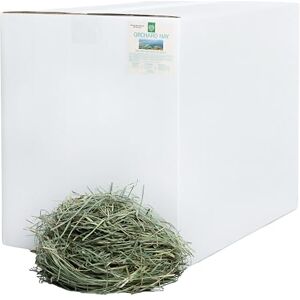 SMALL PET SELECT Orchard Grass Hay Pet Food for Rabbits, Guinea Pigs, Chinchillas and Other Small Animals, Premium Natural Hay Grown in The US, 40 LB (18kg) SMALL PET SELECT Orchard Grass Hay Pet Food for Rabbits, Guinea Pigs, Chinchillas and Other Small Animals, Premium Natural Hay Grown in The US, 40 LB (18kg)