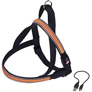 Nobby Norwegian harness flash mesh, orange, XL: L: 80-100 cm + 56, W: 38 mm, 1 piece Nobby Norwegian harness flash mesh, orange, XL: L: 80-100 cm + 56, W: 38 mm, 1 piece