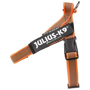 Julius-K9 , IDC Color & Gray Belt Harness, Size: XL / 2, Orange-Gray Julius-K9 , IDC Color & Gray Belt Harness, Size: XL / 2, Orange-Gray