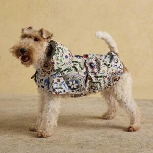 Rosewood x Joules Festival Floral Packaway Dog Jacket, Medium – Lightweight Water-Resistant Coat with Hood, Adjustable Velcro Fastenings, Portable for Travel & Walks Rosewood x Joules Festival Floral Packaway Dog Jacket, Medium – Lightweight Water-Resistant Coat with Hood, Adjustable Velcro Fastenings, Portable for Travel & Walks