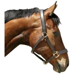 Covalliero Kerbl Eco Head Collar Brown, Size 2 Covalliero Kerbl Eco Head Collar Brown, Size 2