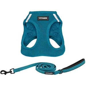 Best Pet Supplies Voyager Step-in Air All Weather Mesh Harness and Reflective Dog 5 Ft Leash Combo with Neoprene Handle, for Small, Medium and Large Breed Puppies by Leash Harness (Turquoise), S Best Pet Supplies Voyager Step-in Air All Weather Mesh Harness and Reflective Dog 5 Ft Leash Combo with Neoprene Handle, for Small, Medium and Large Breed Puppies by Leash Harness (Turquoise), S