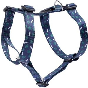 Totto Medium Dog Harness, Figgo Model, Size M, Dog Breastplate, H-Type Design, Adjustable, Reduces Pressure in Trachea, Comfortable and Easy to Place, Lightweight, Blue and Green Bone Print Totto Medium Dog Harness, Figgo Model, Size M, Dog Breastplate, H-Type Design, Adjustable, Reduces Pressure in Trachea, Comfortable and Easy to Place, Lightweight, Blue and Green Bone Print
