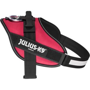 Julius-K9 IDC Powerharness, Size: M/0, Viva Magenta Julius-K9 IDC Powerharness, Size: M/0, Viva Magenta