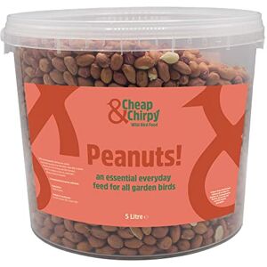 Cheap & Chirpy Wild Bird Peanuts 5 L Tub Wild Bird Food & Squirrel Nuts, Protein Rich Bird Nuts for Small Garden Birds & Large Birds Cheap & Chirpy Wild Bird Peanuts 5 L Tub Wild Bird Food & Squirrel Nuts, Protein Rich Bird Nuts for Small Garden Birds & Large Birds