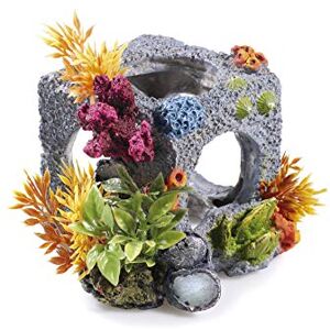CLASSIC PETBLIS Small Cubic Habitat 4'' (11cm), 100 g CLASSIC PETBLIS Small Cubic Habitat 4'' (11cm), 100 g