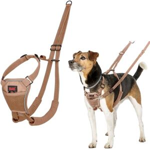 Halti No Pull Harness To Stop Your Dog Pulling on the Leash. Adjustable, Lightweight and Easy to Use. Reflective Dog Training Harness for Toy and Small Dogs (Size XS, Desert Sand) Halti No Pull Harness To Stop Your Dog Pulling on the Leash. Adjustable, Lightweight and Easy to Use. Reflective Dog Training Harness for Toy and Small Dogs (Size XS, Desert Sand)