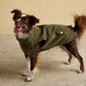 Rosewood x Joules Khaki Fairbourne Dog Fleece, Large – Soft and Warm Zip-Up Pet Fleece, Cosy Luxury Dog Gilet Jacket for Autumn & Winter Walks Rosewood x Joules Khaki Fairbourne Dog Fleece, Large – Soft and Warm Zip-Up Pet Fleece, Cosy Luxury Dog Gilet Jacket for Autumn & Winter Walks