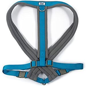 Ancol Viva Padded Dog Harness Blue XXL - Dog Harness Ancol Viva Padded Dog Harness Blue XXL - Dog Harness