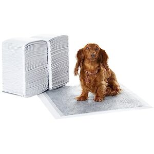 Amazon Basics Carbon Odour-Control Dog and Puppy Training Pads, Leakproof with Quick-Dry Surface, Regular, Pack of 120, Grey Amazon Basics Carbon Odour-Control Dog and Puppy Training Pads, Leakproof with Quick-Dry Surface, Regular, Pack of 120, Grey