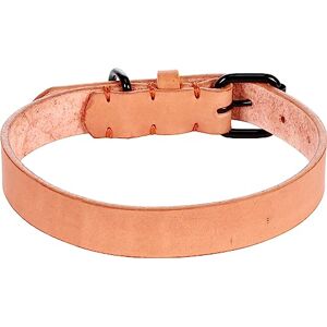 Flamingo Dog Collar Leano Cognac M/L 38-48cm 25mm Flamingo Dog Collar Leano Cognac M/L 38-48cm 25mm