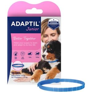 ADAPTIL Junior Adjustable Puppy Collar Dog Collar To Help Reduce Puppy Anxiety Using Natural Pheromones Adjustable Calming Dog Collar For Puppies To Aid Training And Socialisation ADAPTIL Junior Adjustable Puppy Collar Dog Collar To Help Reduce Puppy Anxiety Using Natural Pheromones Adjustable Calming Dog Collar For Puppies To Aid Training And Socialisation