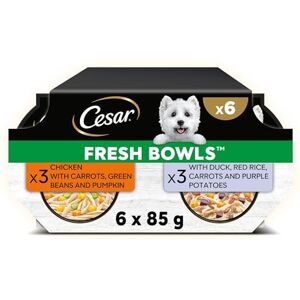 Cesar Fresh Bowl Adult Dog Chicken & Duck Taster Multipack 6x85g (Pack of 4) Cesar Fresh Bowl Adult Dog Chicken & Duck Taster Multipack 6x85g (Pack of 4)
