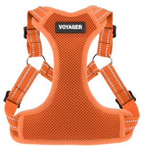 Best Pet Supplies Voyager Adjustable Dog Vest Harness Breathable No Pull Harness for Small, Medium, Large Dogs, Heavy Duty Harness for Walking, Jogging, Easy Step-in, Reflective Stripes (Orange), L Best Pet Supplies Voyager Adjustable Dog Vest Harness Breathable No Pull Harness for Small, Medium, Large Dogs, Heavy Duty Harness for Walking, Jogging, Easy Step-in, Reflective Stripes (Orange), L