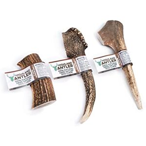 Highland Antler Natural Antler Dog Chew. Pack of 1x Extra Large (220-270g) Naturally Shed Red Deer Antler, Long Lasting Dog Chew Bone With Calcium And Minerals (Shape may vary) Highland Antler Natural Antler Dog Chew. Pack of 1x Extra Large (220-270g) Naturally Shed Red Deer Antler, Long Lasting Dog Chew Bone With Calcium And Minerals (Shape may vary)