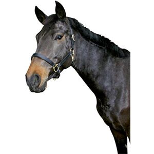 Covalliero Kerbl Eco Head Collar Black, Size 2 Covalliero Kerbl Eco Head Collar Black, Size 2