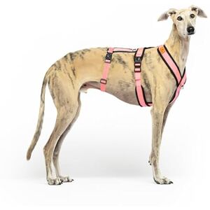 Dog Harness - Pink - XXL - Anti-Pull, Breathable, Durable - Spanish Design Dog Harness - Pink - XXL - Anti-Pull, Breathable, Durable - Spanish Design