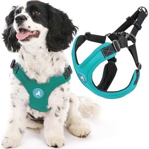 Gooby Escape Free Sport Harness - Turquoise - Dog Harness Gooby Escape Free Sport Harness - Turquoise - Dog Harness