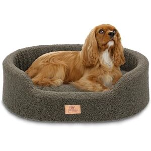 Ferplast Dog Bed Cushion for Small Dogs, Cat Bed, Washable Synthetic Bouclé Fabric, Soft Padding, 55 x 41 x h 15 cm. Green Ferplast Dog Bed Cushion for Small Dogs, Cat Bed, Washable Synthetic Bouclé Fabric, Soft Padding, 55 x 41 x h 15 cm. Green