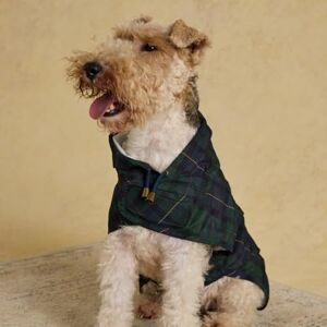 Rosewood x Joules Blackwatch Check Packaway Dog Jacket, Medium – Lightweight Water-Resistant Coat with Hood, Adjustable Velcro Fastenings, Portable for Travel & Walks Rosewood x Joules Blackwatch Check Packaway Dog Jacket, Medium – Lightweight Water-Resistant Coat with Hood, Adjustable Velcro Fastenings, Portable for Travel & Walks