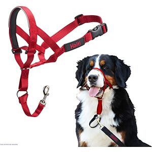 Halti Headcollar Stop Your Dog Pulling on the Lead. Adjustable, Reflective and Lightweight, with Padded Nose Band. Dog Training Anti-Pull Collar for Large Dogs (Size 4, Red) Halti Headcollar Stop Your Dog Pulling on the Lead. Adjustable, Reflective and Lightweight, with Padded Nose Band. Dog Training Anti-Pull Collar for Large Dogs (Size 4, Red)