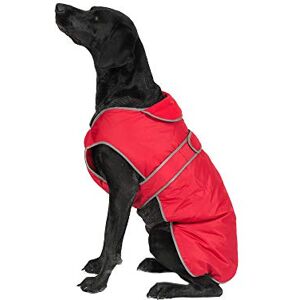 Ancol Muddy Paws All Weather Stormguard Dog Puppy Coat Poppy Red Waterproof Pet Jacket with Fleece Lining and Chest Protector Elasticated Neck 35 cm Length up to 56 cm Girth Small/Medium Ancol Muddy Paws All Weather Stormguard Dog Puppy Coat Poppy Red Waterproof Pet Jacket with Fleece Lining and Chest Protector Elasticated Neck 35 cm Length up to 56 cm Girth Small/Medium