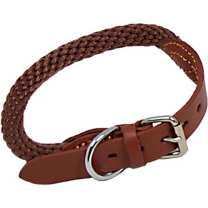 JACK AND VANILLA , Comfortable and Durable Dog Collar, Sturdy Safety Buckle, Elegant Design, Adjustable for Perfect Support, Size 15 mm x 65 cm, Brown, Walkabout Model JACK AND VANILLA , Comfortable and Durable Dog Collar, Sturdy Safety Buckle, Elegant Design, Adjustable for Perfect Support, Size 15 mm x 65 cm, Brown, Walkabout Model