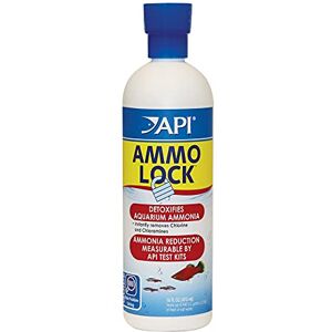 API AMMO-LOCK Freshwater and Saltwater Aquarium Ammonia Detoxifier 473 ml Bottle,473 ml (Pack of 1) API AMMO-LOCK Freshwater and Saltwater Aquarium Ammonia Detoxifier 473 ml Bottle,473 ml (Pack of 1)