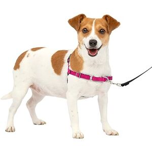PetSafe Easy Walk No-Pull Dog Harness The Ultimate Harness to Help Stop Pulling Take Control & Teach Better Leash Manners Helps Prevent Pets Pulling on Walks, Small, Raspberry/Gray PetSafe Easy Walk No-Pull Dog Harness The Ultimate Harness to Help Stop Pulling Take Control & Teach Better Leash Manners Helps Prevent Pets Pulling on Walks, Small, Raspberry/Gray