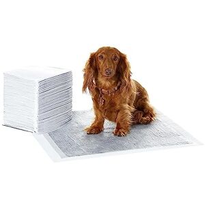 Amazon Basics Carbon Odour-Control Dog and Puppy Training Pads, Leakproof with Quick-Dry Surface, Regular (40 Count), Grey Amazon Basics Carbon Odour-Control Dog and Puppy Training Pads, Leakproof with Quick-Dry Surface, Regular (40 Count), Grey