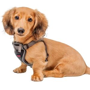 Halti Anatomy Puppy & Small Dog Harness Soft & Comfortable Step-in Harness, 4 Adjustable Points, Lightweight & Reflective, For Miniature and Toy Dog Breeds (Size XS, Grey) Halti Anatomy Puppy & Small Dog Harness Soft & Comfortable Step-in Harness, 4 Adjustable Points, Lightweight & Reflective, For Miniature and Toy Dog Breeds (Size XS, Grey)