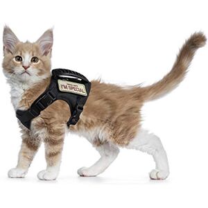 Pet Brand Model - Adjustable Cat Harness for Walking Pet Brand Model - Adjustable Cat Harness for Walking