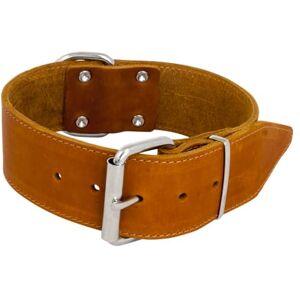 JACK AND VANILLA Large Dog Collar Fat Leather For Medium and Large Dogs Strong, Durable, Soft Feel Modern Look Cognac Colour, Size 30 mm x 45 cm JACK AND VANILLA Large Dog Collar Fat Leather For Medium and Large Dogs Strong, Durable, Soft Feel Modern Look Cognac Colour, Size 30 mm x 45 cm