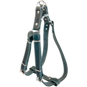 JACK AND VANILLA , Strong Leather Dog Harness, Custom Fit 65-90 cm, Elegant Grey, Ideal for Comfortable and Secure Walks, 25 mm, Grey, Leather Model JACK AND VANILLA , Strong Leather Dog Harness, Custom Fit 65-90 cm, Elegant Grey, Ideal for Comfortable and Secure Walks, 25 mm, Grey, Leather Model