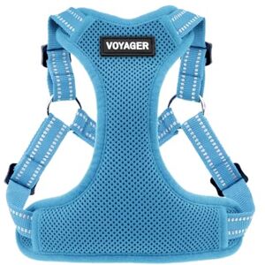 Best Pet Supplies Voyager XS Dog Harness - Reflective, Breathable, No Pull Best Pet Supplies Voyager XS Dog Harness - Reflective, Breathable, No Pull